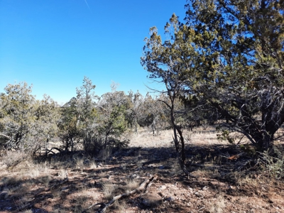 Remote 16.7 off grid acres backs state land - image 21