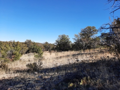 Remote 16.7 off grid acres backs state land - image 14