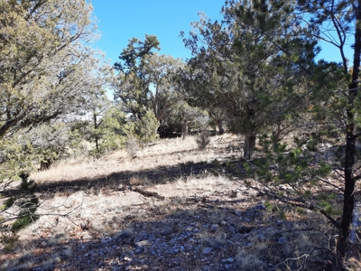Remote 16.7 off grid acres backs state land - image 16