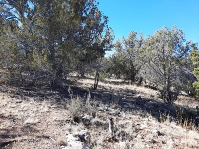 Remote 16.7 off grid acres backs state land - image 19