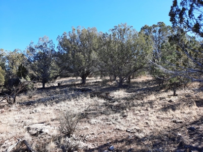 Remote 16.7 off grid acres backs state land - image 20