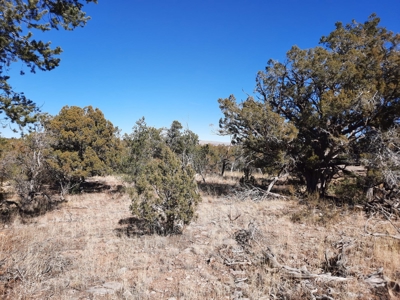 Remote 16.7 off grid acres backs state land - image 5
