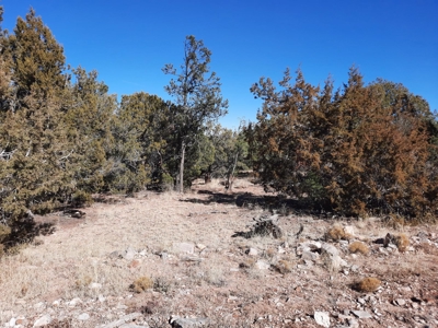 Remote 16.7 off grid acres backs state land - image 4