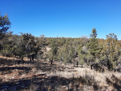 Remote 16.7 off grid acres backs state land - image 13