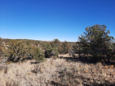Remote 16.7 off grid acres backs state land - image 12
