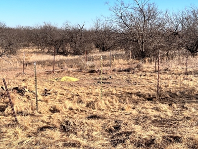 92 Unrestricted Acres - image 24