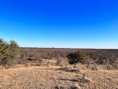 92 Unrestricted Acres - image 18