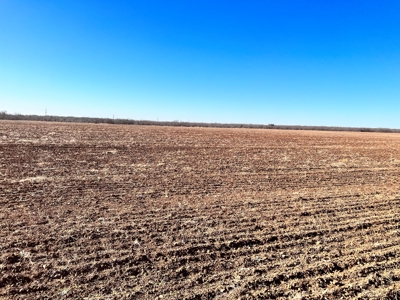 92 Unrestricted Acres - image 26