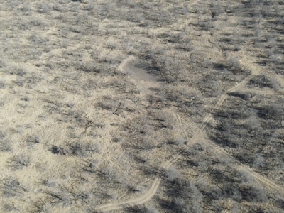 92 Unrestricted Acres - image 10