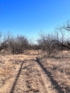 92 Unrestricted Acres - image 22