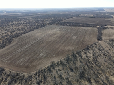 92 Unrestricted Acres - image 13