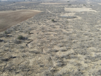 92 Unrestricted Acres - image 15