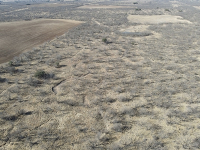 92 Unrestricted Acres - image 2