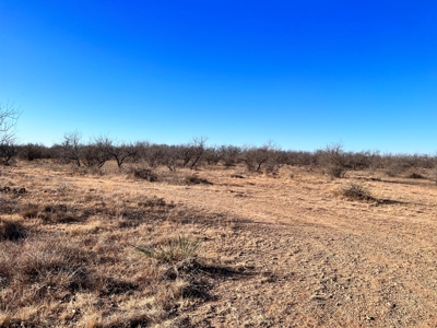 92 Unrestricted Acres - image 19