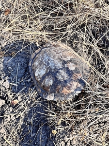 92 Unrestricted Acres - image 27