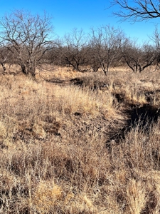 92 Unrestricted Acres - image 23