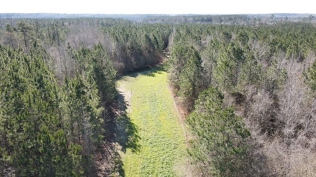 336 Acres Deer and Turkey Hunting Land Copiah County, MS - image 43