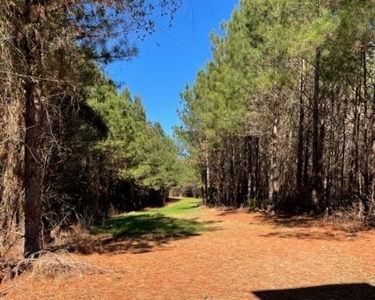 336 Acres Deer and Turkey Hunting Land Copiah County, MS - image 1