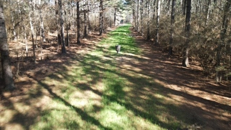 336 Acres Deer and Turkey Hunting Land Copiah County, MS - image 37