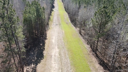 336 Acres Deer and Turkey Hunting Land Copiah County, MS - image 45