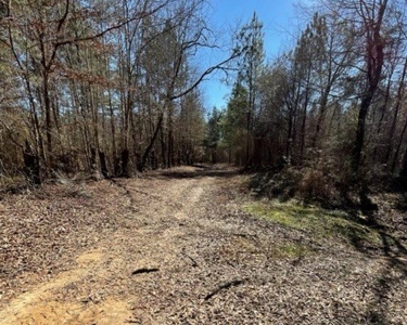336 Acres Deer and Turkey Hunting Land Copiah County, MS - image 12