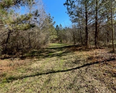 336 Acres Deer and Turkey Hunting Land Copiah County, MS - image 33