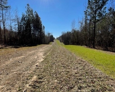 336 Acres Deer and Turkey Hunting Land Copiah County, MS - image 35