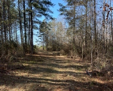 336 Acres Deer and Turkey Hunting Land Copiah County, MS - image 18