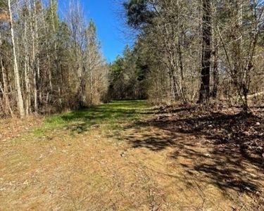 336 Acres Deer and Turkey Hunting Land Copiah County, MS - image 9