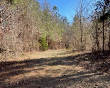 336 Acres Deer and Turkey Hunting Land Copiah County, MS - image 19