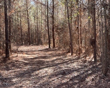 336 Acres Deer and Turkey Hunting Land Copiah County, MS - image 11