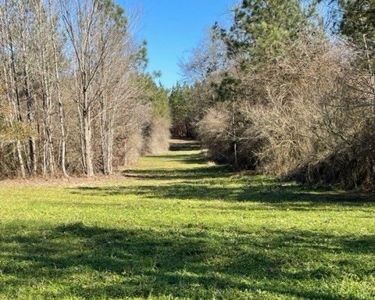 336 Acres Deer and Turkey Hunting Land Copiah County, MS - image 16