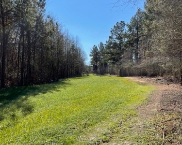 336 Acres Deer and Turkey Hunting Land Copiah County, MS - image 21