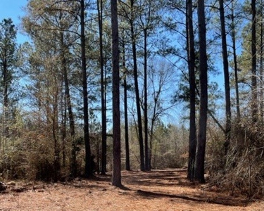 336 Acres Deer and Turkey Hunting Land Copiah County, MS - image 27