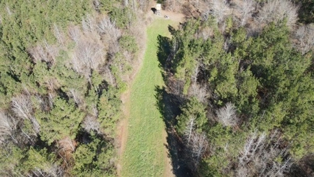 336 Acres Deer and Turkey Hunting Land Copiah County, MS - image 39