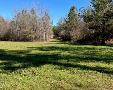 336 Acres Deer and Turkey Hunting Land Copiah County, MS - image 15