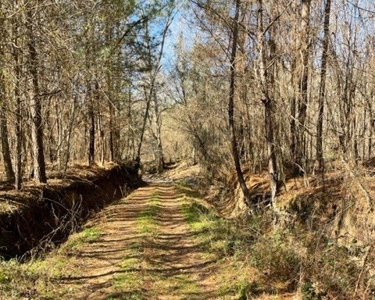 336 Acres Deer and Turkey Hunting Land Copiah County, MS - image 30