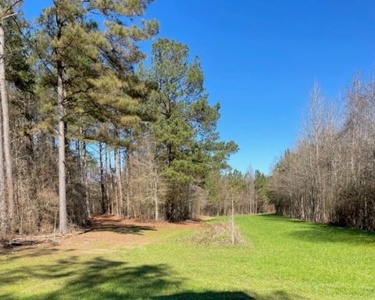 336 Acres Deer and Turkey Hunting Land Copiah County, MS - image 24
