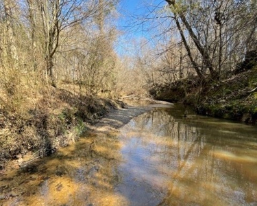 336 Acres Deer and Turkey Hunting Land Copiah County, MS - image 29