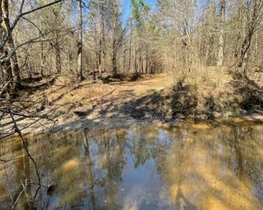 336 Acres Deer and Turkey Hunting Land Copiah County, MS - image 32