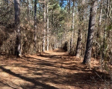 336 Acres Deer and Turkey Hunting Land Copiah County, MS - image 6