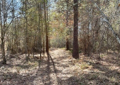 336 Acres Deer and Turkey Hunting Land Copiah County, MS - image 17