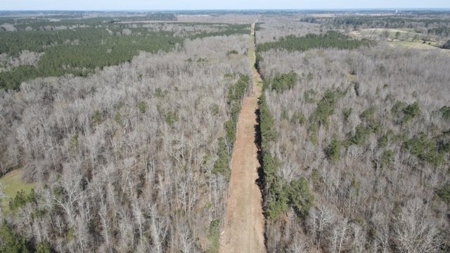 336 Acres Deer and Turkey Hunting Land Copiah County, MS - image 42