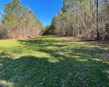 336 Acres Deer and Turkey Hunting Land Copiah County, MS - image 34