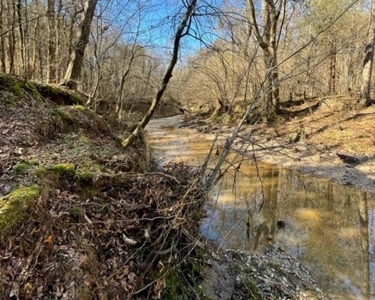 336 Acres Deer and Turkey Hunting Land Copiah County, MS - image 31