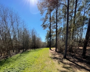 336 Acres Deer and Turkey Hunting Land Copiah County, MS - image 25