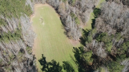 336 Acres Deer and Turkey Hunting Land Copiah County, MS - image 44