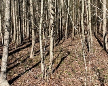 336 Acres Deer and Turkey Hunting Land Copiah County, MS - image 26