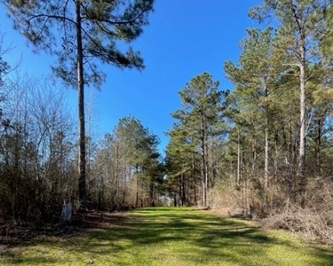 336 Acres Deer and Turkey Hunting Land Copiah County, MS - image 22
