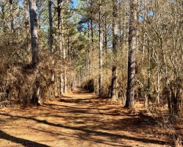 336 Acres Deer and Turkey Hunting Land Copiah County, MS - image 5